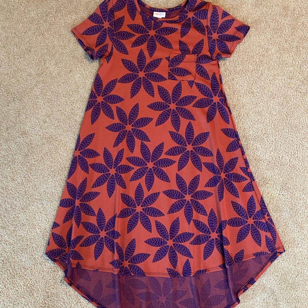 LuLaRoe Carly Swing dress size xxs